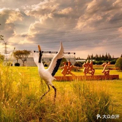 放鹤谷鲜花农场