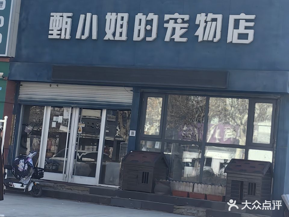 甄小姐的宠物店