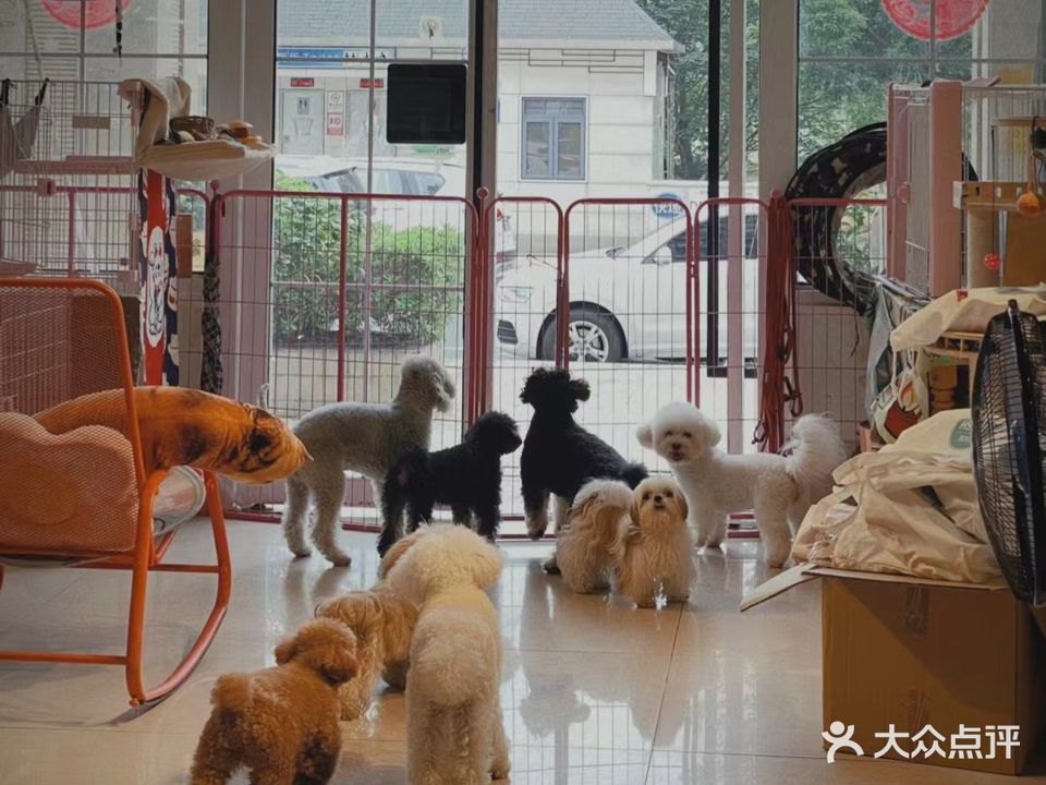爱宠有家(滨海北路店)
