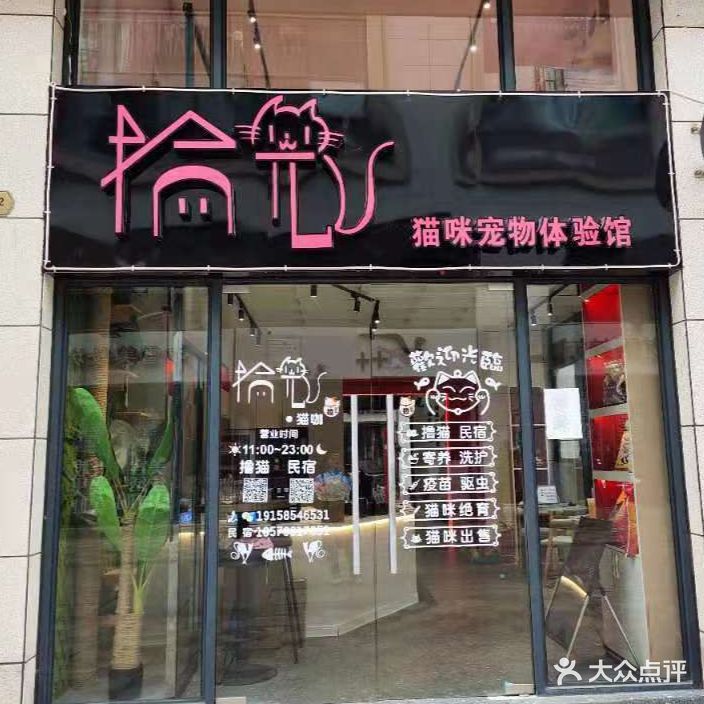 拾光猫咪宠物体验馆(中都新世界店)