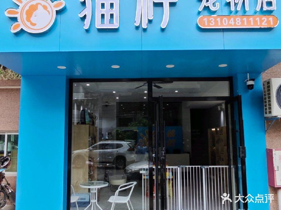 猫柠宠物店