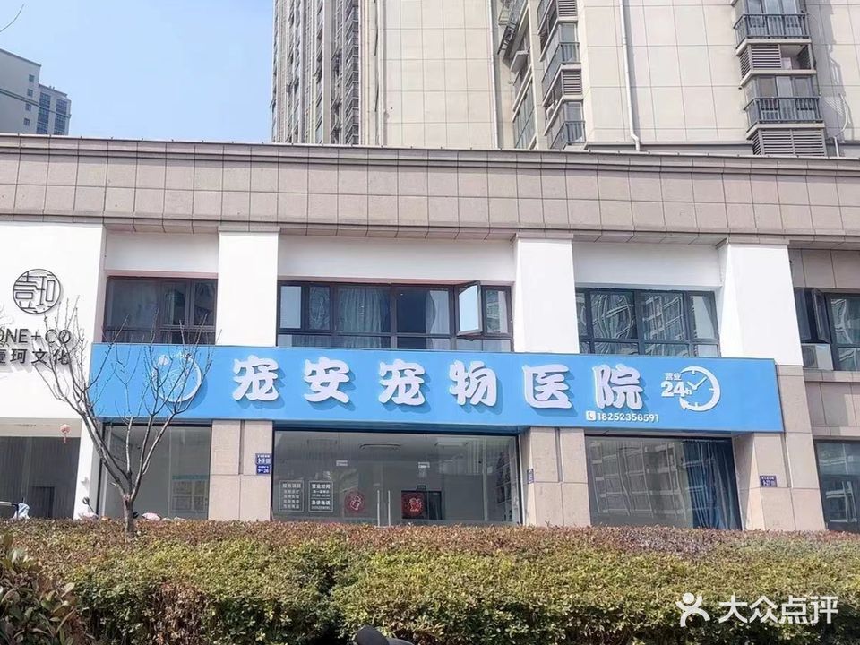 宠安宠物诊所