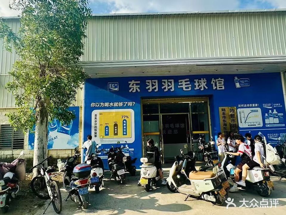 陆丰市东羽羽毛球馆
