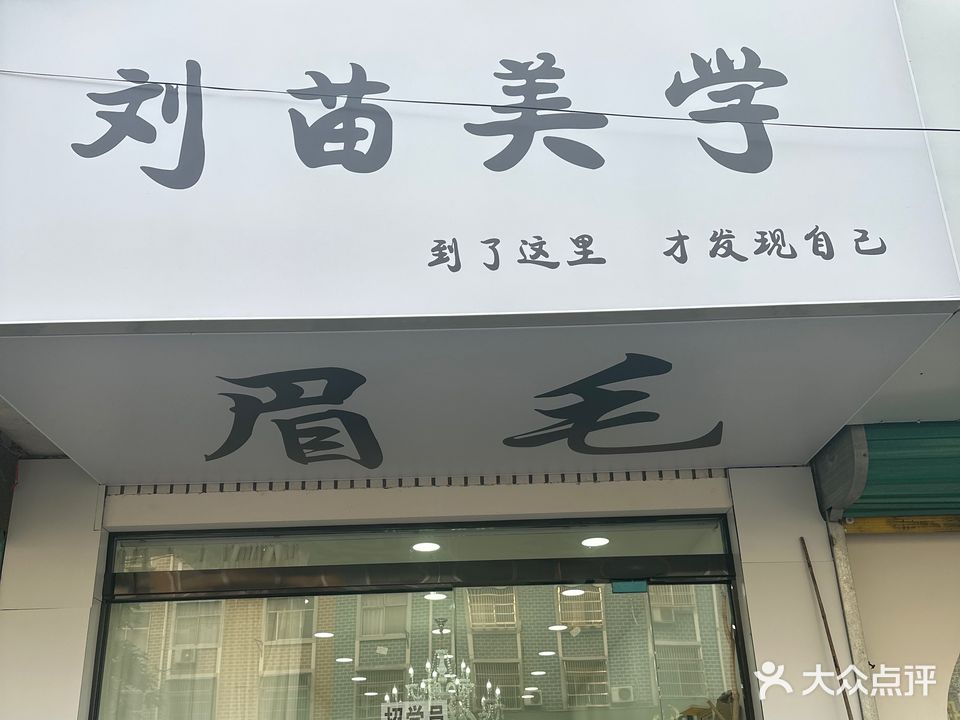 刘苗美学