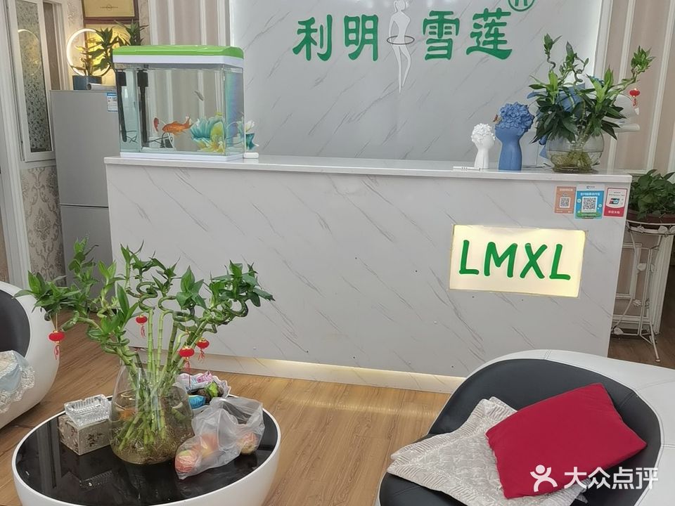 利明雪莲专业减肥养生(九附二店)