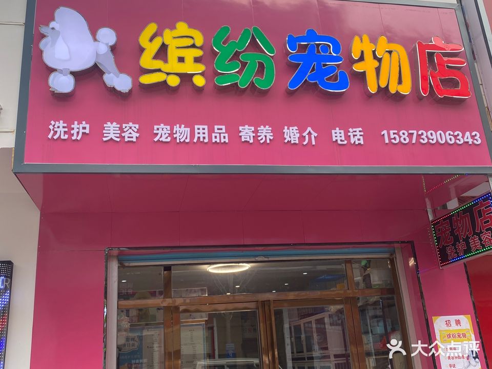 缤纷宠物店