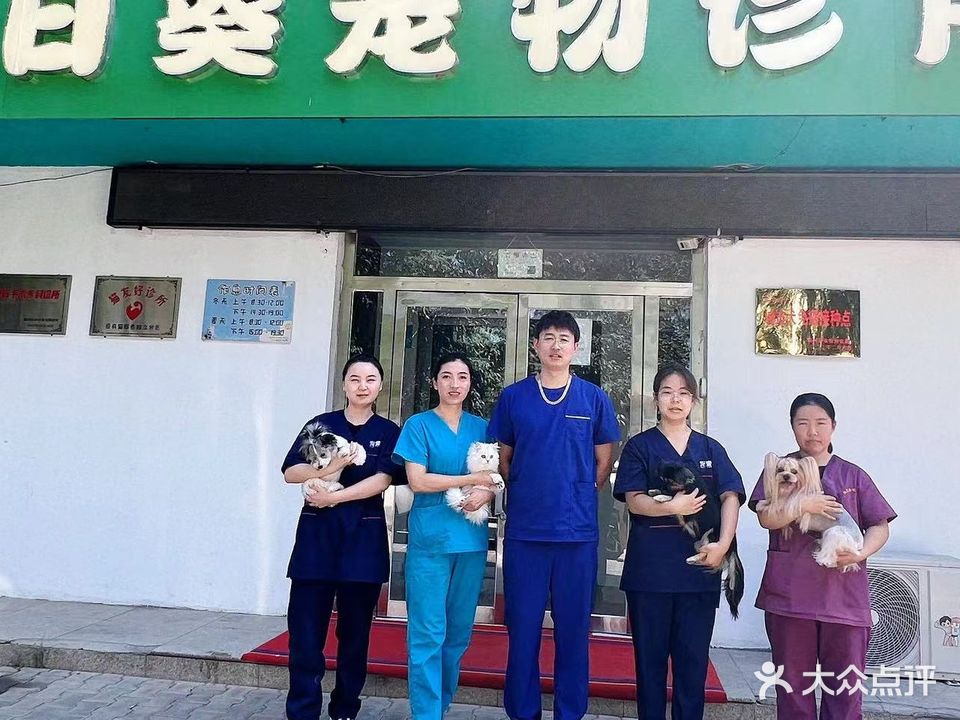 向日葵宠物诊所