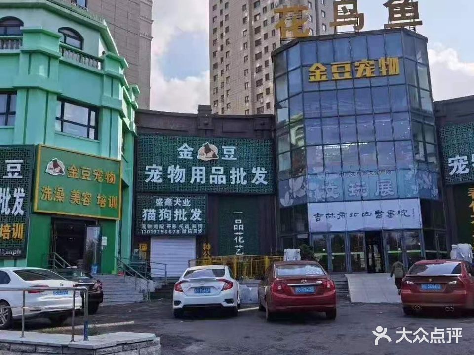 金豆宠物用品批发