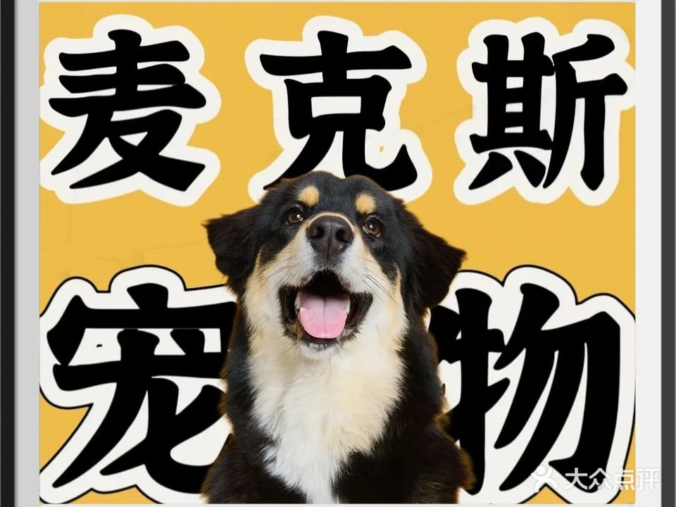 麦克斯宠物生活馆(泰盈·紫金城店)