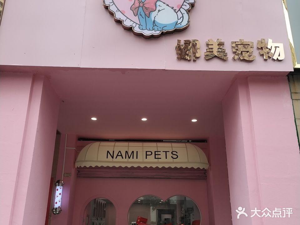 娜关炊美宠物