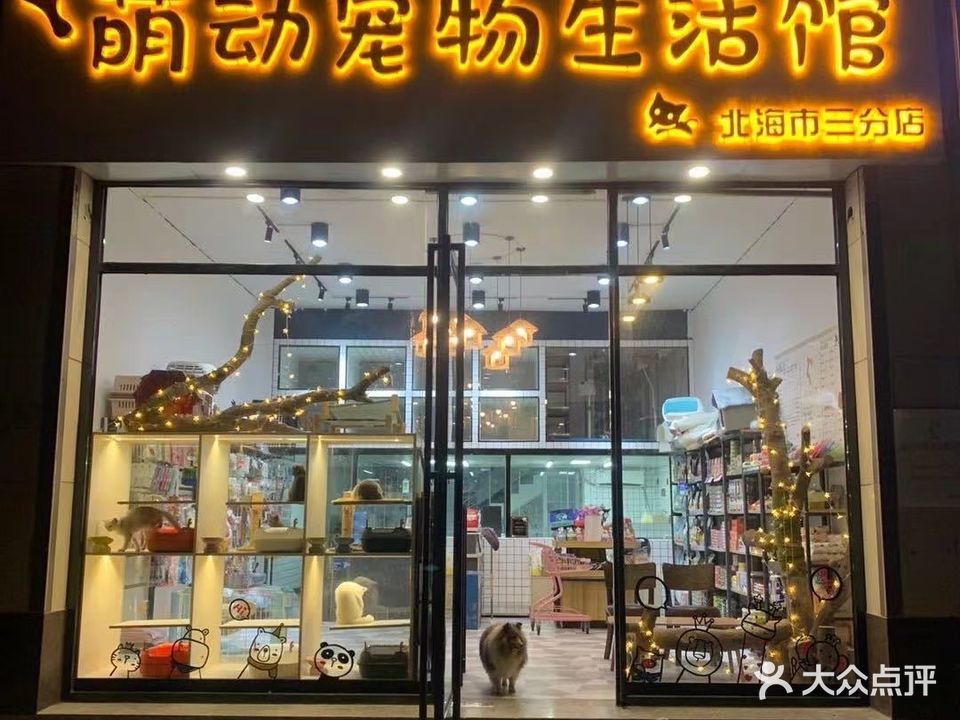 萌动宠物生活馆(四川路三分店)