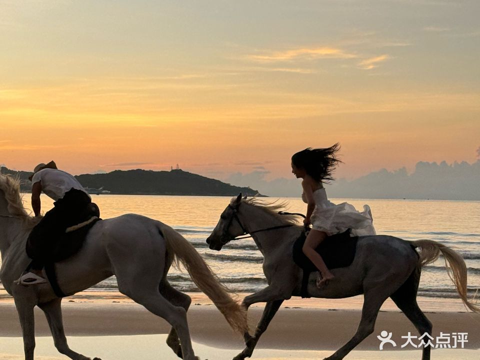 三亚Seahorse野骑马场