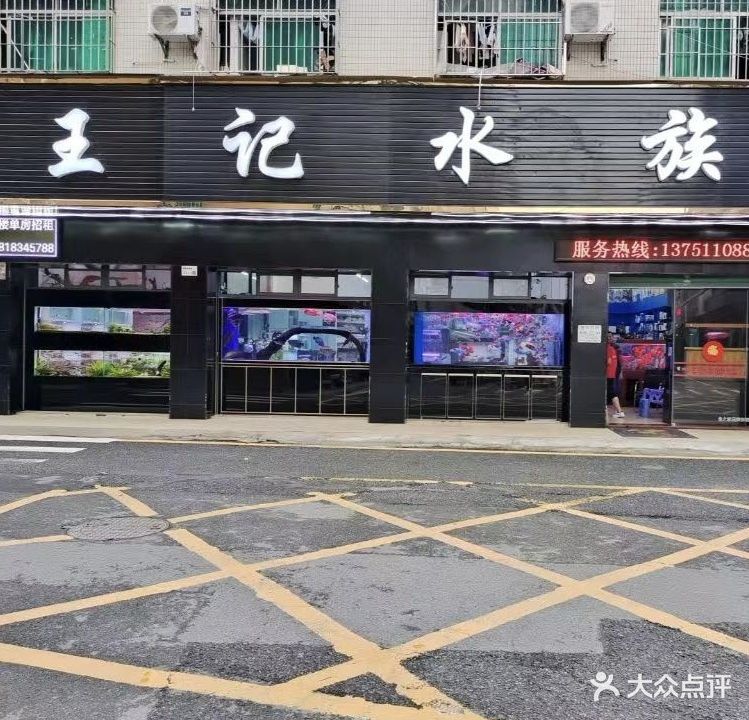 王记水族(龙岗店)