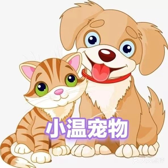 小温宠物生活馆