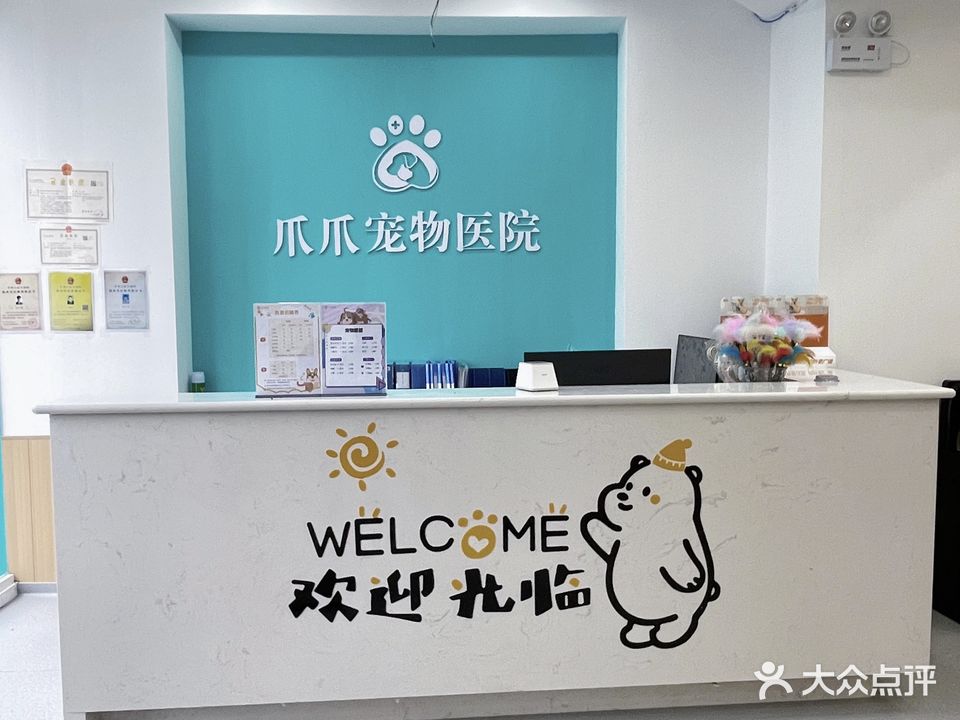 爪爪宠物医院