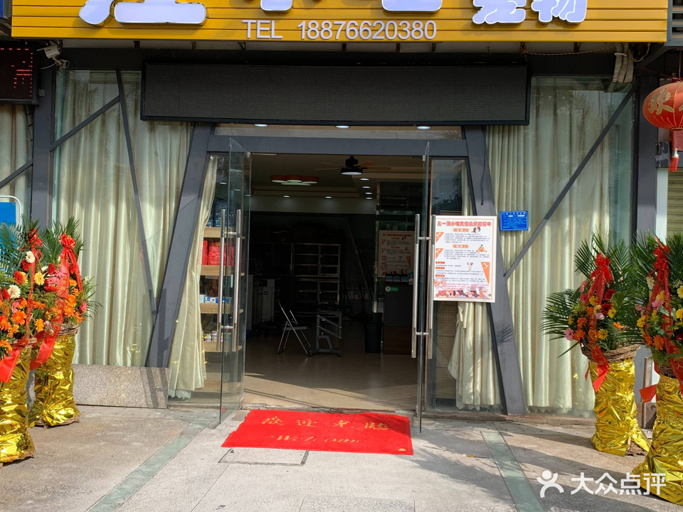 汪小喵宠物