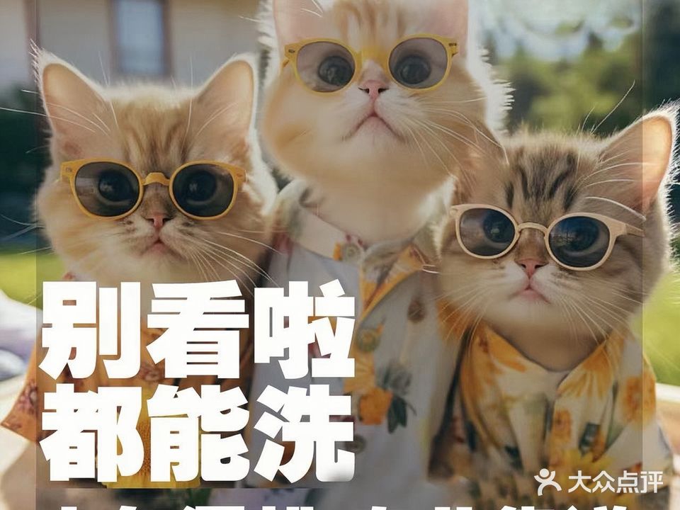 它有赙锾私氆宠宠物用品宠物美容