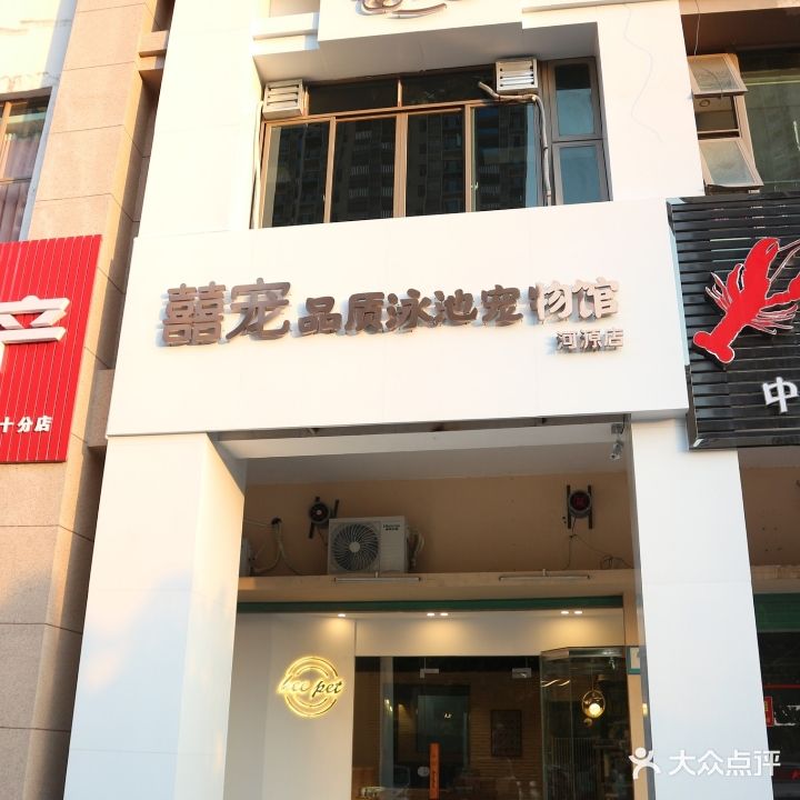 喜宠品质泳池宠物管(河源店)