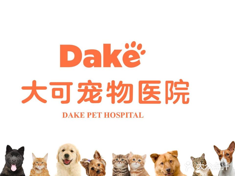 大可宠物医院心脏骨科异宠(天元店)