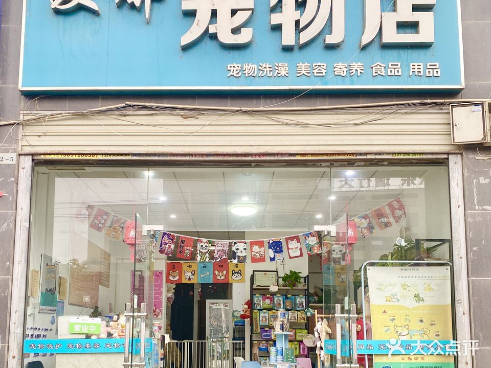 麦嘟宠物店