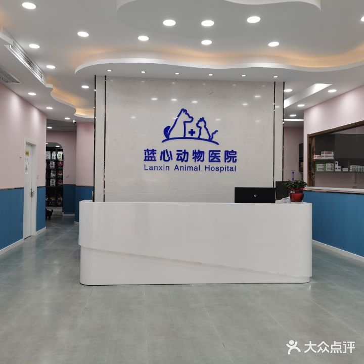 蓝心动物医院