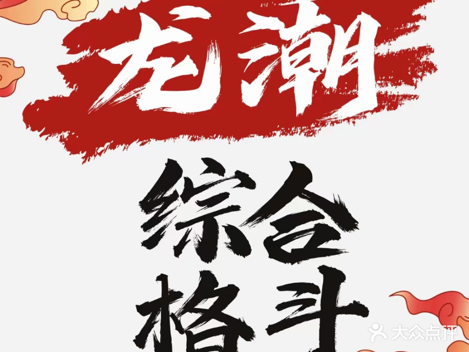龙潮综合格斗