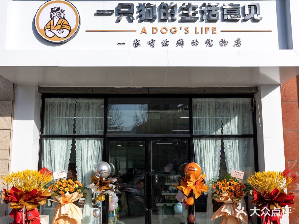 一只狗的生活意见(世纪城·金隅店)