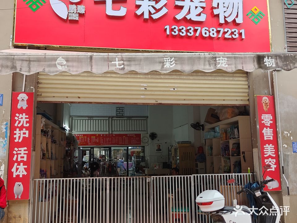鹏臻七彩宠物