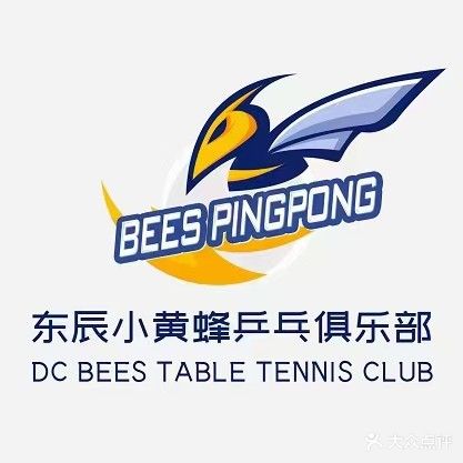 东辰小黄蜂乒乓球馆