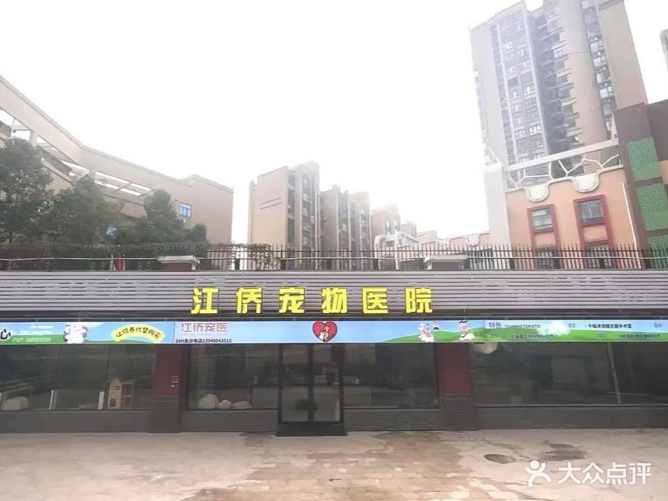 江侨宠物医院