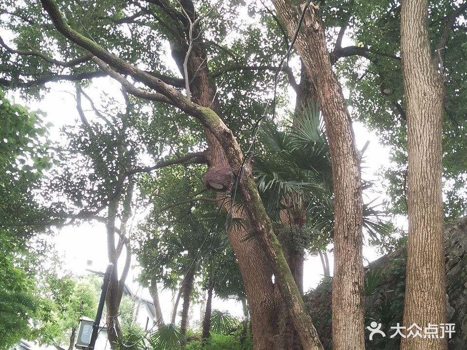 江旅泰迪无动力乐园