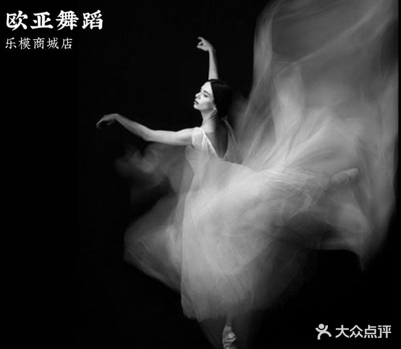 欧亚舞蹈·专注成人零基础舞蹈(乐模店)