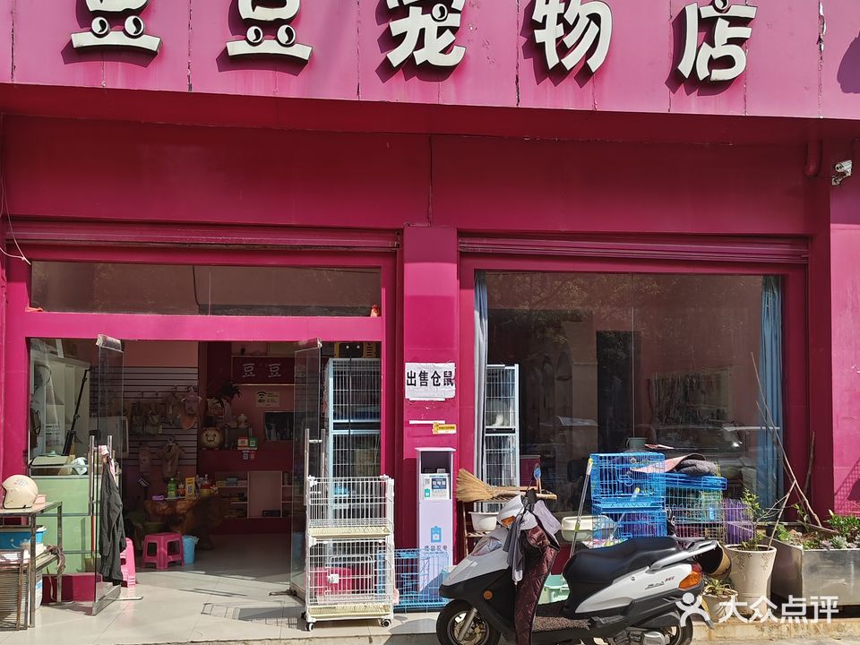 豆豆宠物店(梅园路店)