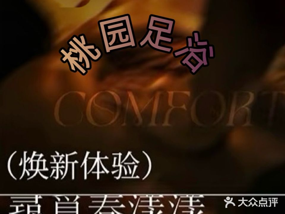 桃园足浴养生会馆(卫国南路店)