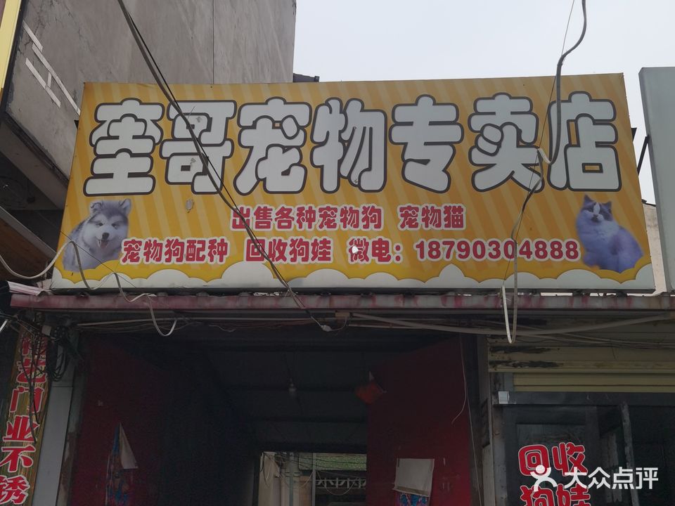 奎哥宠物专卖店