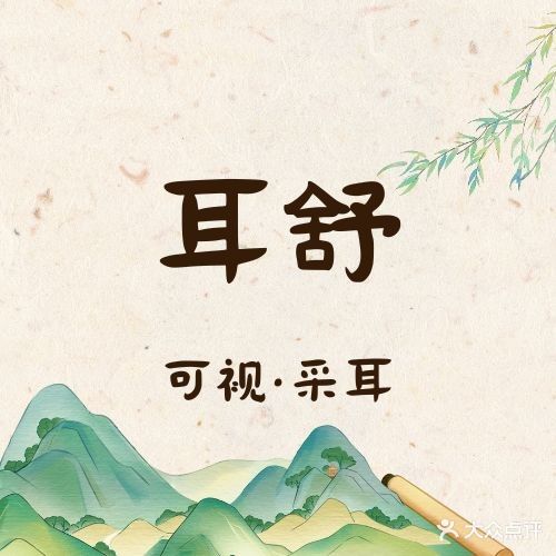 耳舒可视采耳(翰林苑博雅小区店)