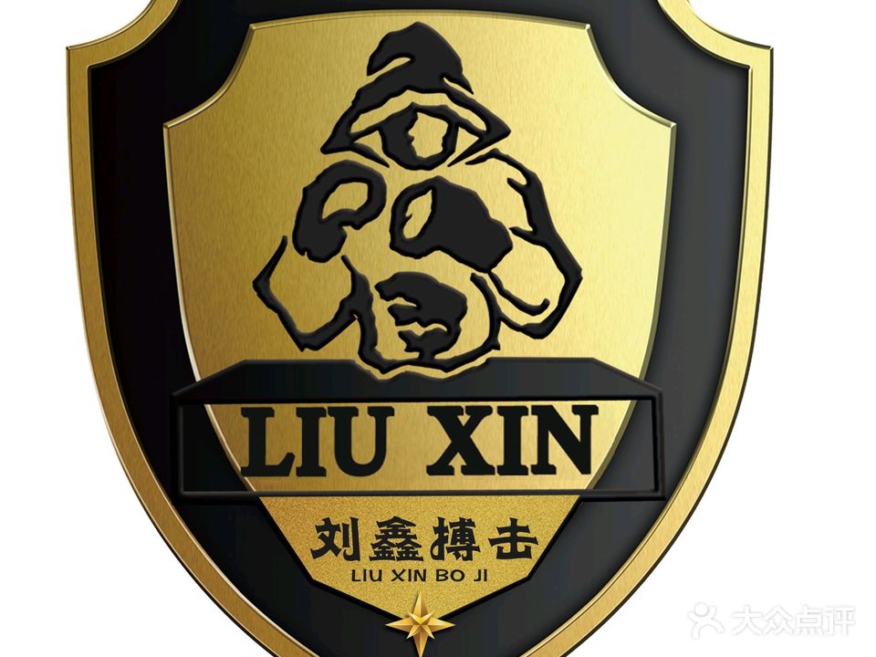 柳新搏击