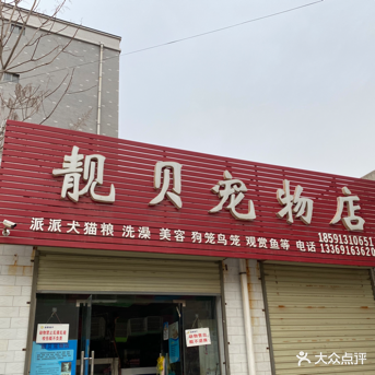 靓贝宠物用品专卖店·宠物洗澡