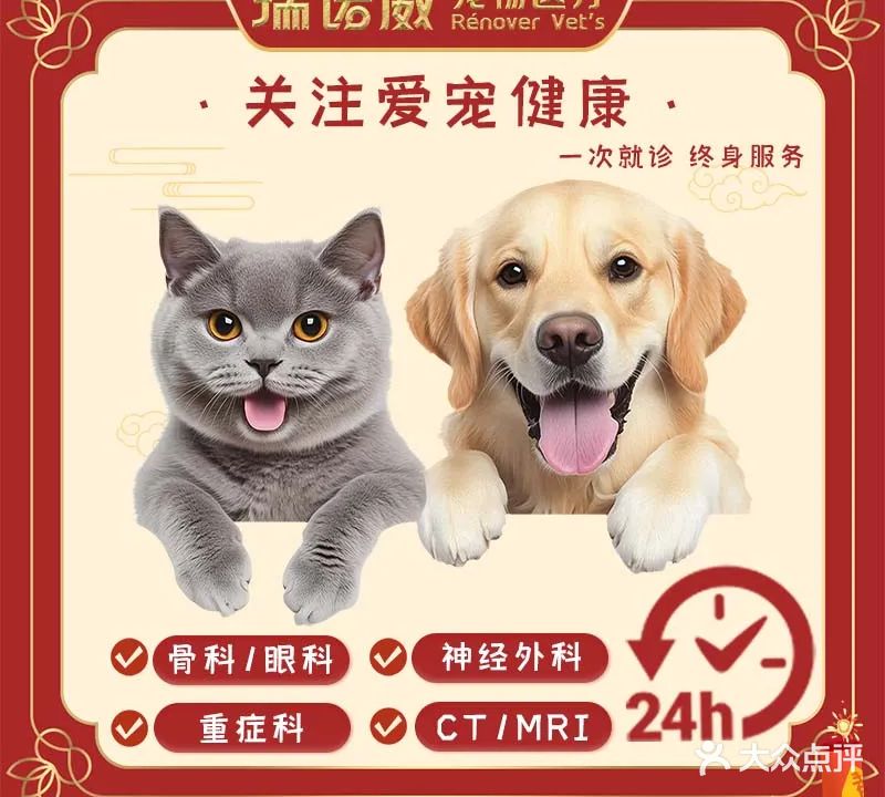 诺威宠物诊所(和园分院)