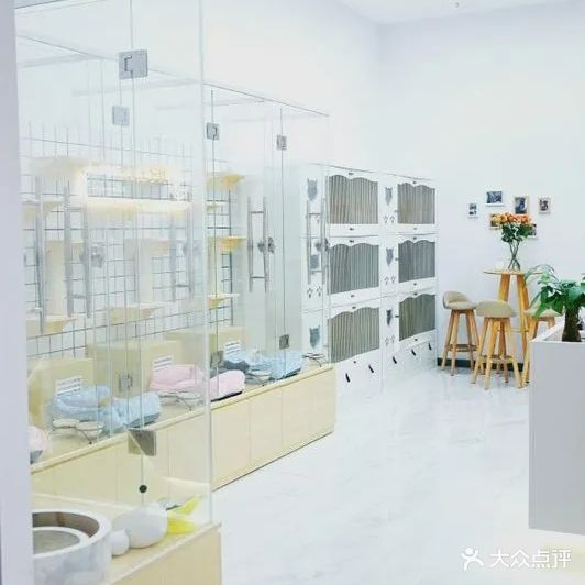 喵宿宠物ISB伊珊娜皮毛调理中心