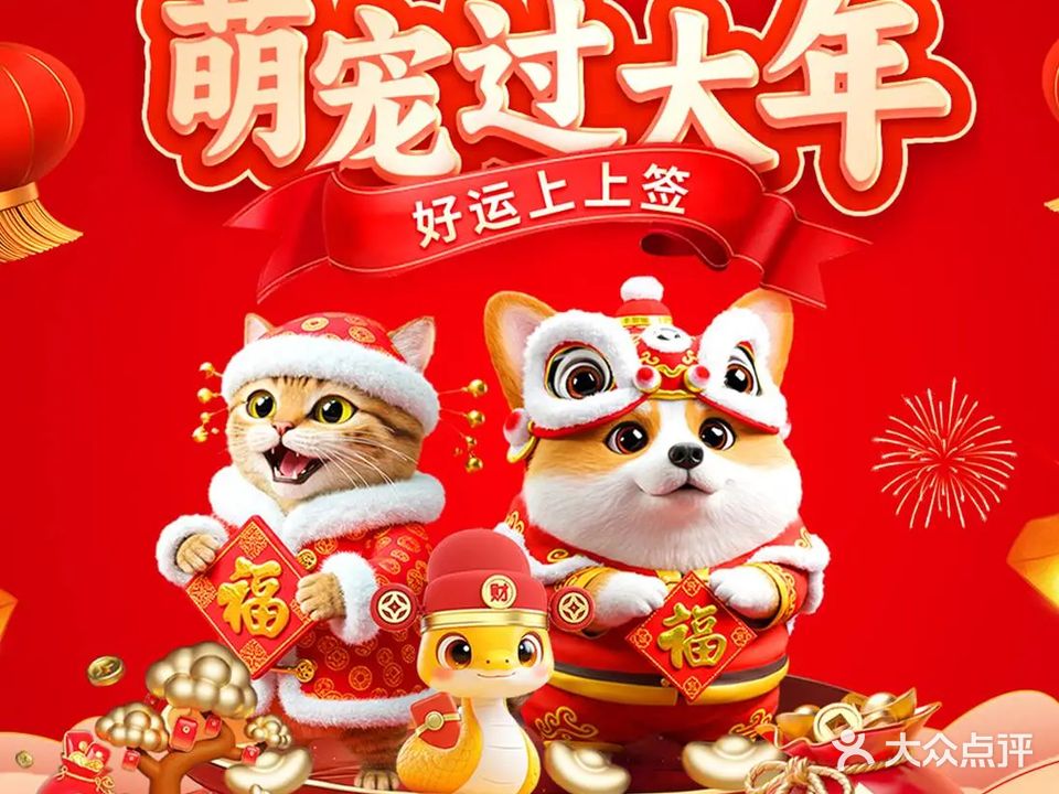 维特动物医院(东莞中心)