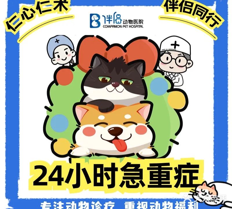伴侣动物医院·CT影像·疑难骨科·心内科(华银园店)