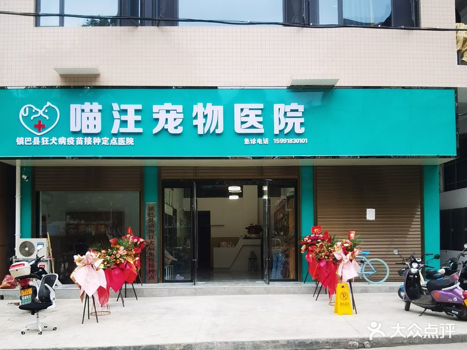镇巴宠物店