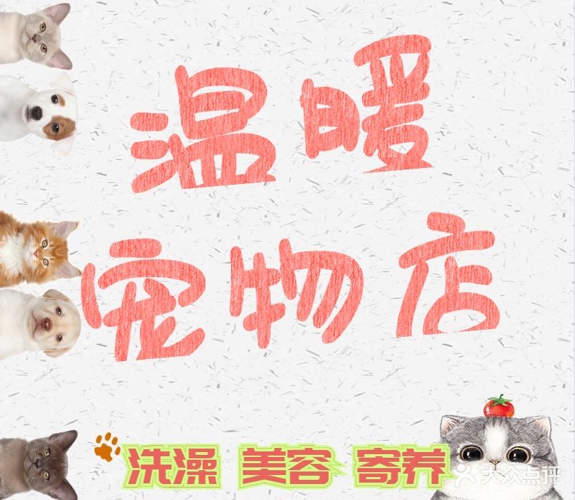 温暖宠物