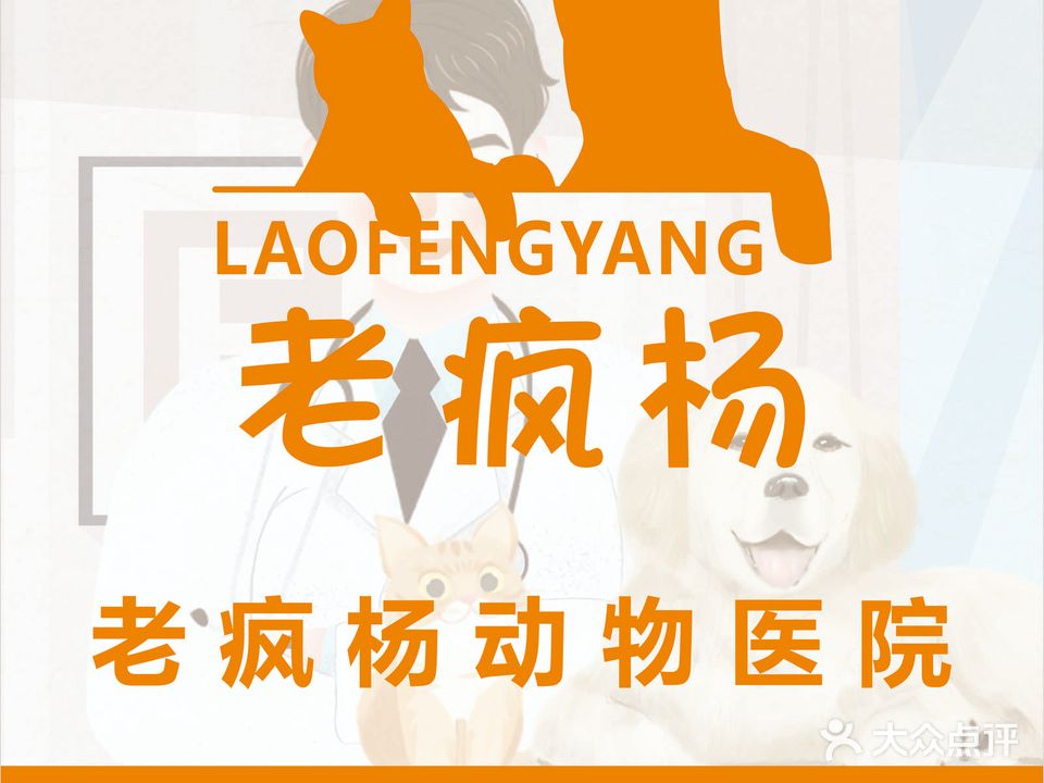 老疯杨动物医院