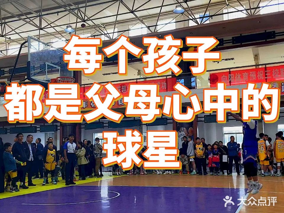 向阳篮球青少年训练馆(雁东路店)