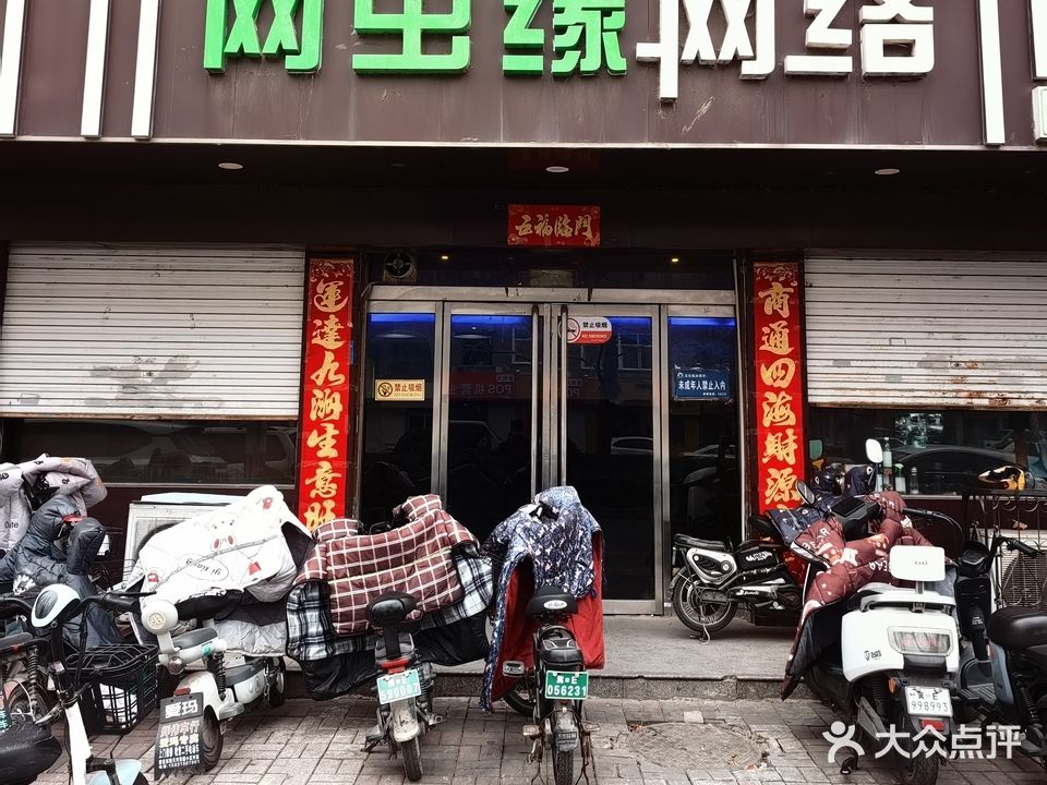网虫缘网络