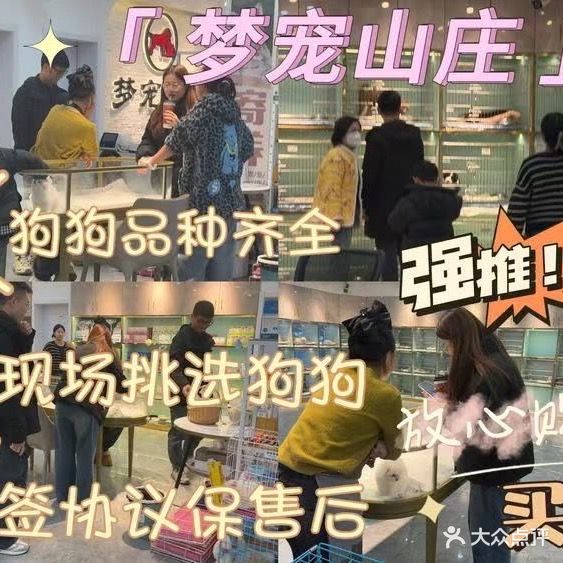 梦宠山庄·幼犬专售(苏州总店)
