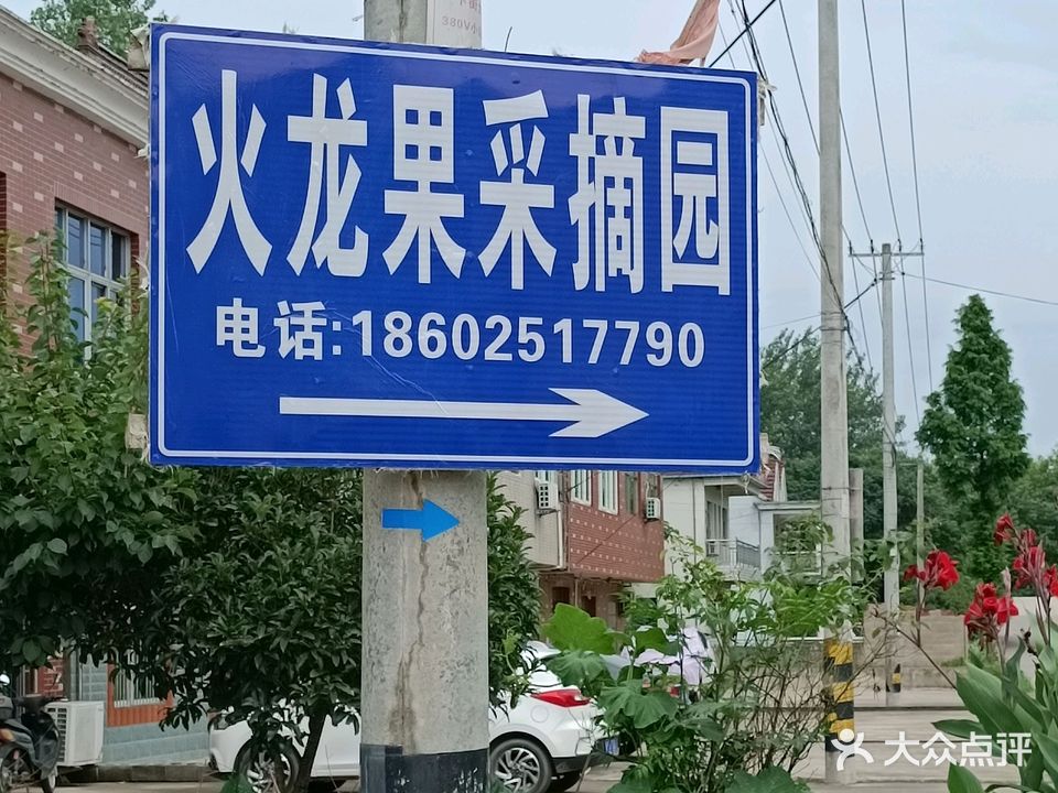 西河古镇虎龙果采摘园