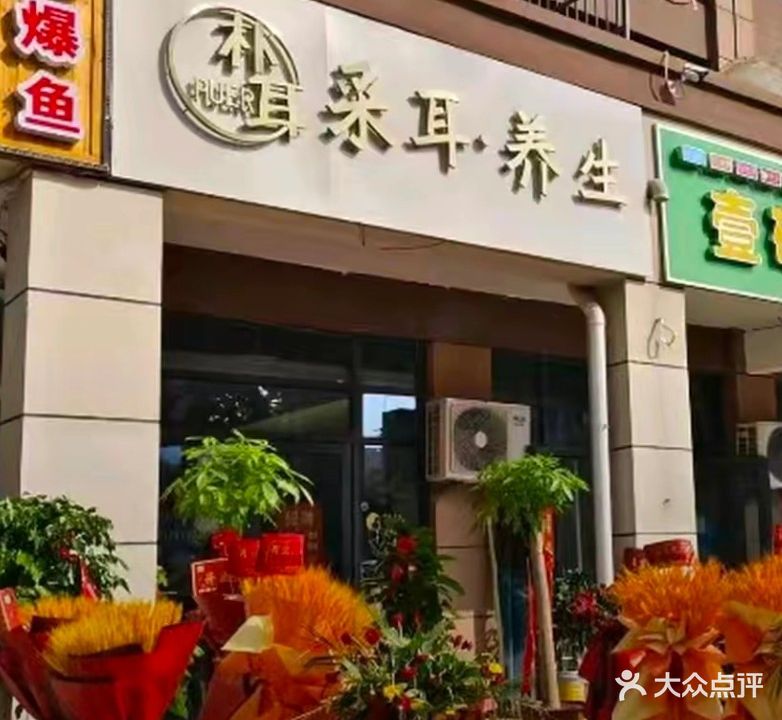 朴耳采尔养生